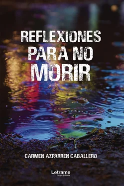 Carmen Azparren Caballero Reflexiones para no morir обложка книги
