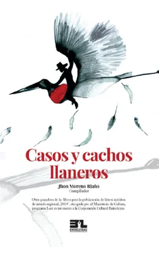 Jhon Moreno Riaño Casos y cachos llaneros обложка книги