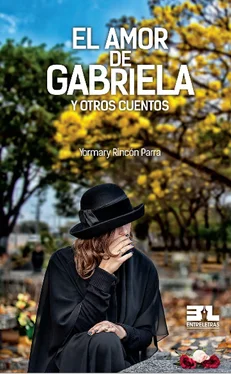 Yormary Rincón Parra El amor de Gabriela обложка книги