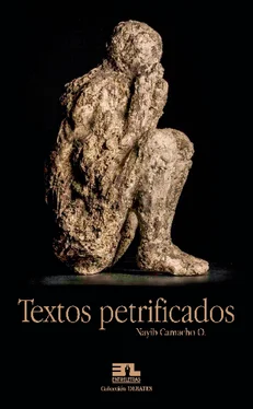 Vayih Camacho O. Textos Petrificados обложка книги