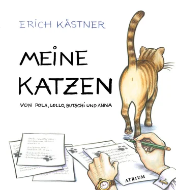 Erich Kastner Meine Katzen обложка книги