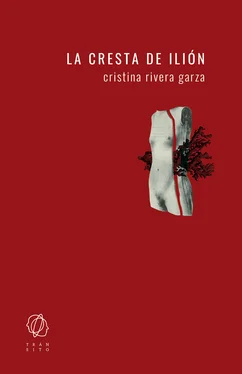 Cristina Rivera Garza La cresta de Ilión обложка книги