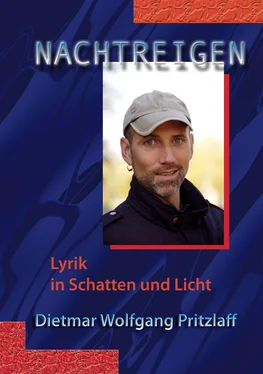 Dietmar Wolfgang Pritzlaff Nachtreigen – erweiterte Version обложка книги