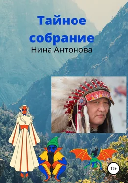 Нина Антонова Тайное собрание обложка книги