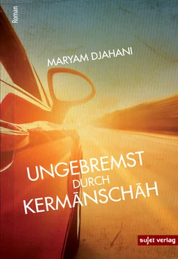 Maryam Djahani Ungebremst durch Kermanschah обложка книги