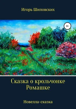 Игорь Шиповских Сказка о крольчонке Ромашке обложка книги