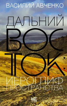 Василий Авченко Дальний Восток: иероглиф пространства. Уроки географии и демографии обложка книги