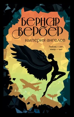 Бернар Вербер Империя ангелов обложка книги