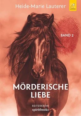 Heide-Marie Lauterer Mörderische Liebe обложка книги