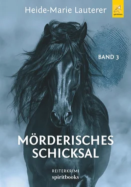 Heide-Marie Lauterer Mörderisches Schicksal обложка книги