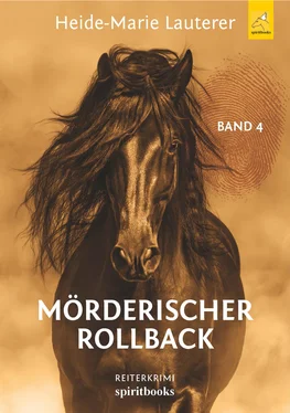 Heide-Marie Lauterer Mörderischer Rollback обложка книги