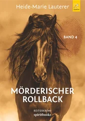 Heide-Marie Lauterer - Mörderischer Rollback