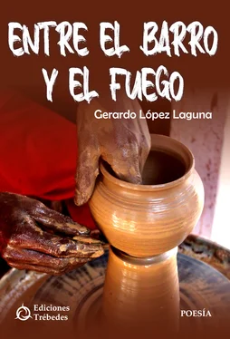 Gerardo López Laguna Entre el barro y el fuego обложка книги