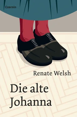 Renate Welsh Die alte Johanna