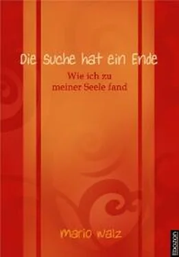 Mario Walz Die Suche hat ein Ende обложка книги