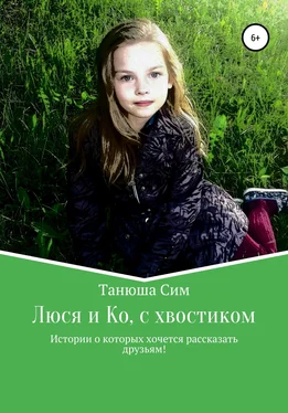 Танюша Сим Люся и Ко, с хвостиком обложка книги