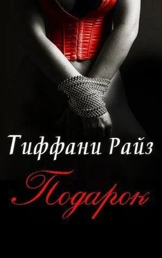 Тиффани Райз Подарок обложка книги