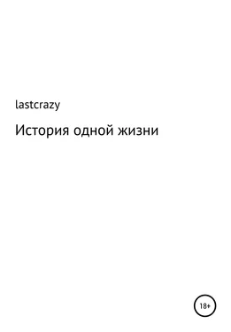 lastcrazy История одной жизни обложка книги