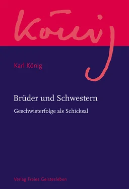 Karl König Brüder und Schwestern обложка книги