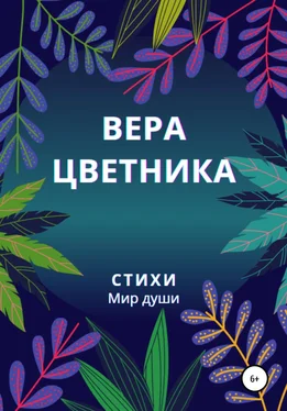 Вера Цветника Стихи. Мир души обложка книги