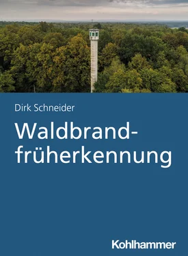 Dirk Schneider Waldbrandfrüherkennung обложка книги