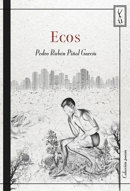Pedro Rubén Piñol García Ecos обложка книги