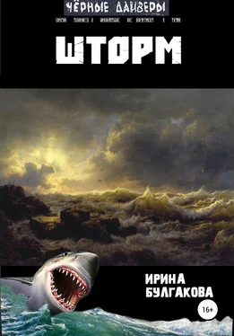 Ирина Булгакова Шторм обложка книги