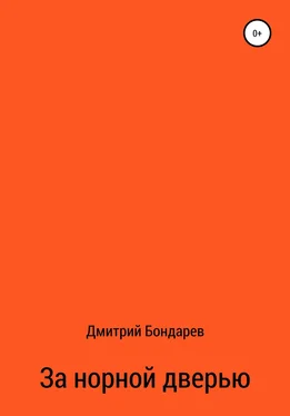 Дмитрий Бондарев За норной дверью обложка книги