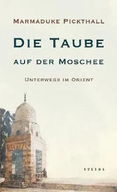 Marmaduke William Pickthall Die Taube auf der Moschee обложка книги