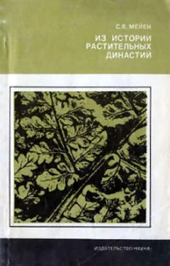Сергей Мейен Из истории растительных династий обложка книги