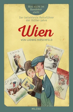 Ludwig Hirschfeld Wien обложка книги