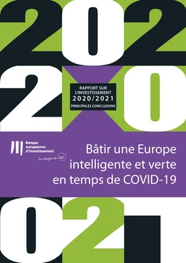 Неизвестный Автор Rapport 2020-2021 de la BEI sur l'investissement - Principales conclusions обложка книги