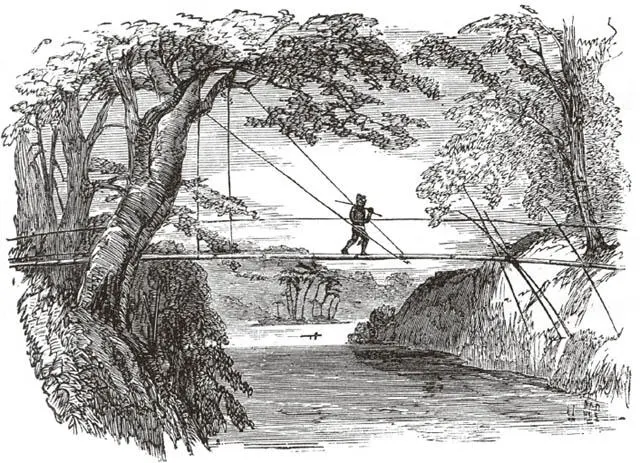 Dajak über eine Baumbrücke gehend nach einer Skizze des Autors Fitch Wie - фото 13
