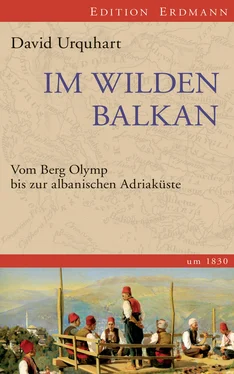 David Urquhart Im wilden Balkan обложка книги