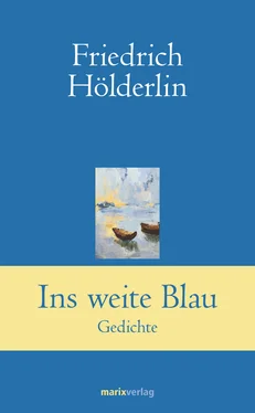 Friedrich Holderlin Ins weite Blau обложка книги