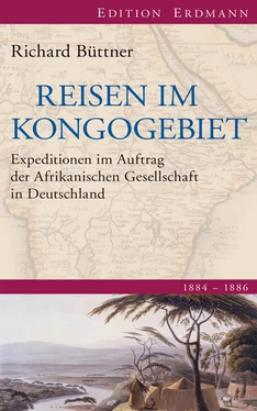 Richard Büttner Reisen im Kongogebiet обложка книги