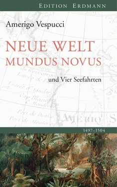 Amerigo Vespucci Neue Welt Mundus Novus обложка книги