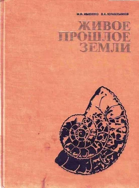 Михаил Ивахненко Живое прошлое Земли обложка книги