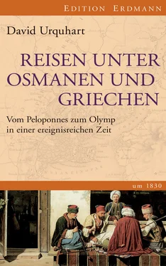 David Urquhart Reisen unter Osmanen und Griechen обложка книги