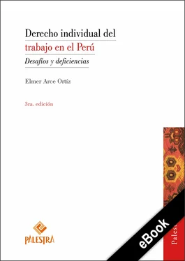 Elmer Arce Derecho individual del trabajo en el Perú обложка книги