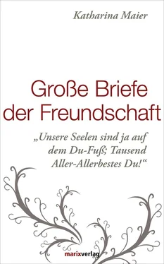 Неизвестный Автор Große Briefe der Freundschaft обложка книги