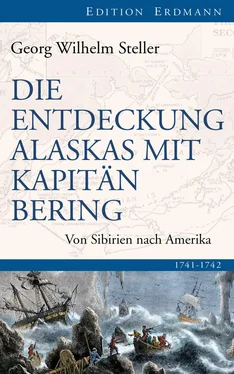 Georg Wilhelm Steller Die Entdeckung Alaskas mit Kapitän Bering обложка книги