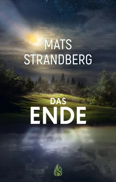 Mats Strandberg Das Ende обложка книги