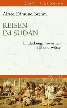 Alfred Edmund Reisen im Sudan обложка книги