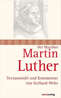Martin Luther Martin Luther обложка книги