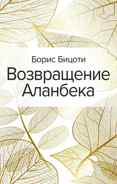 Борис Бицоти Возвращение Аланбека обложка книги