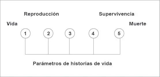 Lo empírico método técnica o teoría epistemológica A pesar de que en el - фото 17