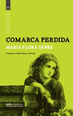 María Flora Yáñez Comarca perdida обложка книги