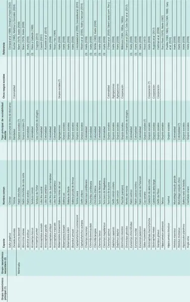 1 Corresponde a Subfilo en el caso de vertebrados y tunicados - фото 23