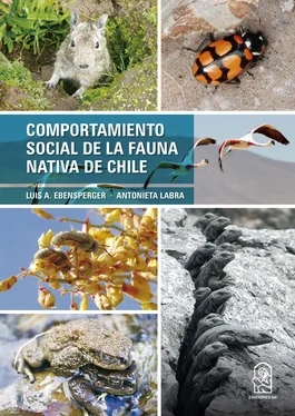 Luis A. Ebensperger Comportamiento social de la fauna nativa de Chile обложка книги